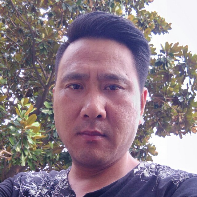 单薄停止星月的照片