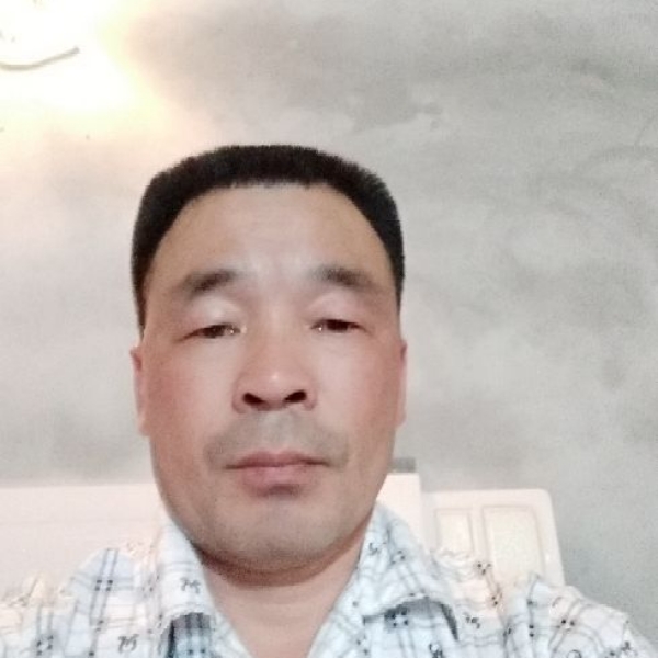 醉熏草丛的照片