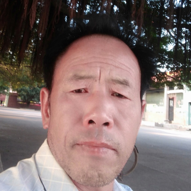 红红的平果的照片