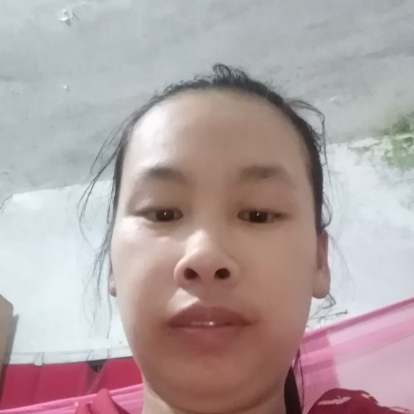 飞鸟单身的照片