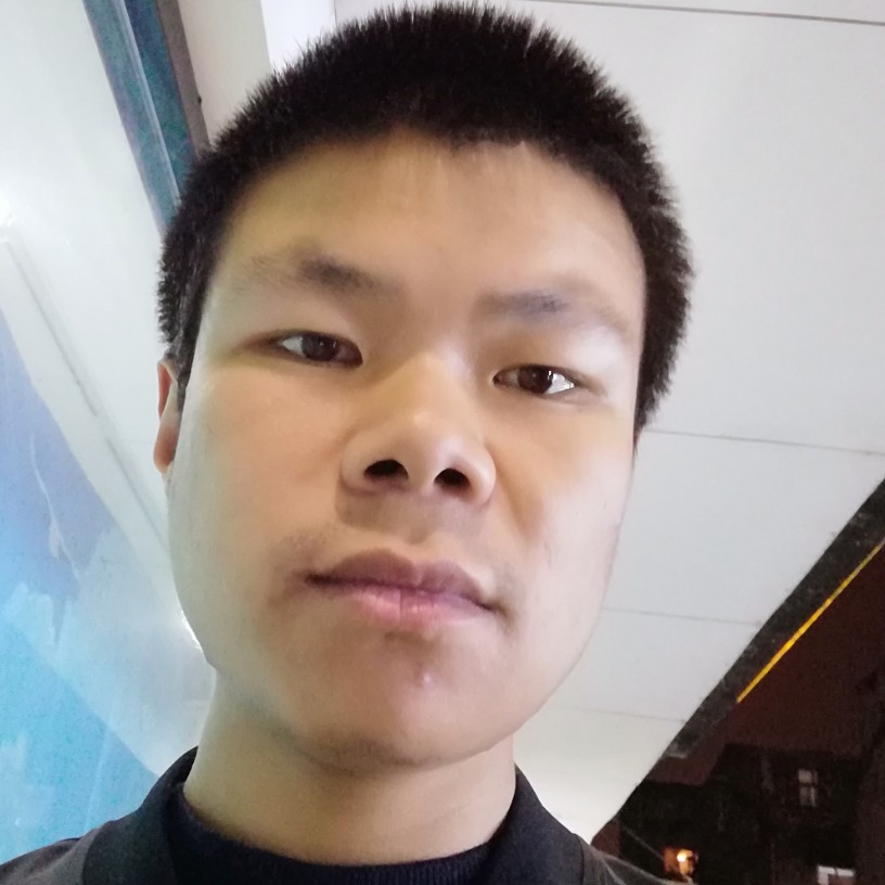 愤怒小蚂蚁的照片