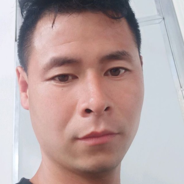可爱给羊的照片