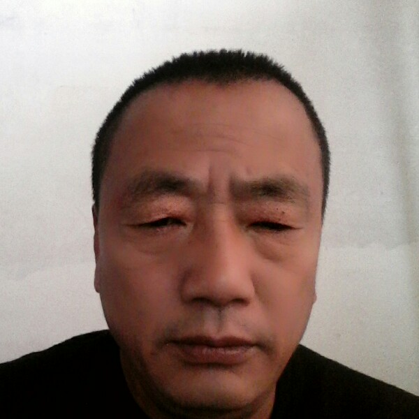 刺猬眯眯眼的照片