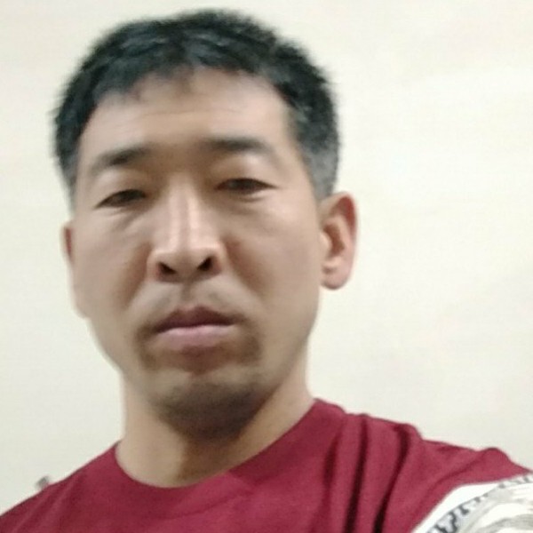 红牛舒适的照片