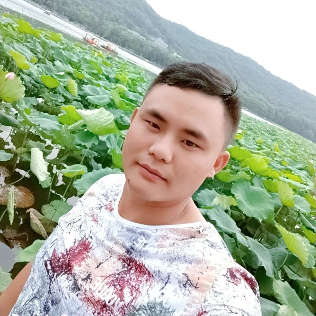 紫菜相许温柔的照片