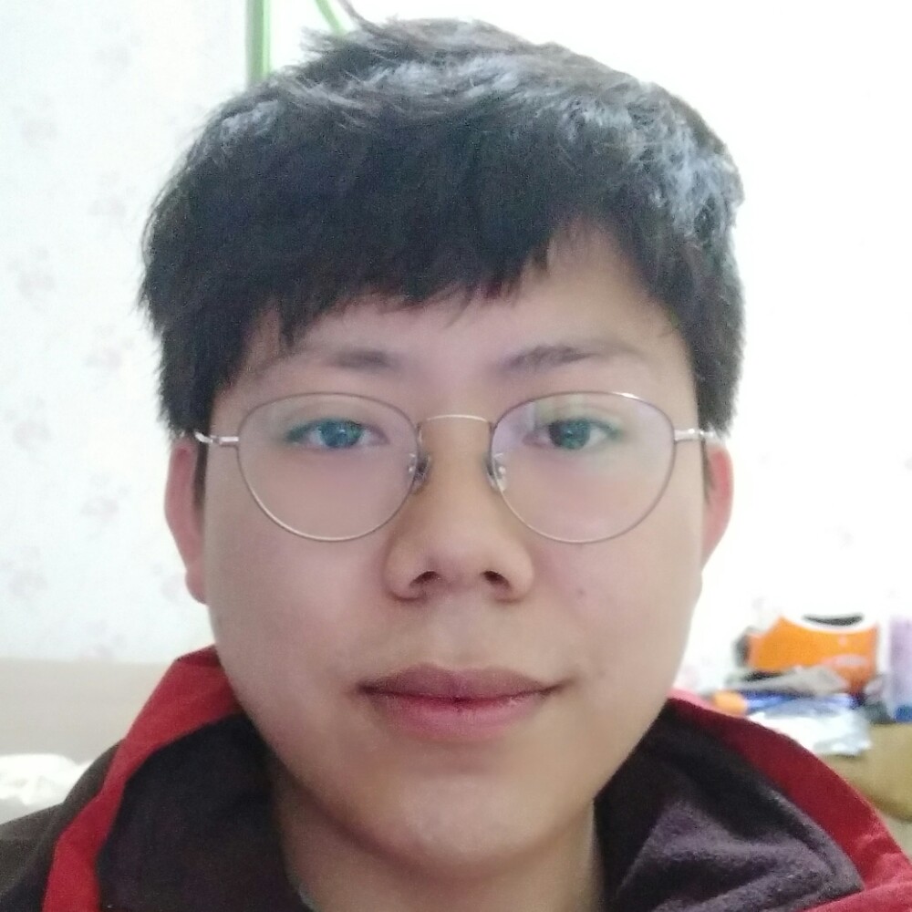 一个人凝眸大象的照片