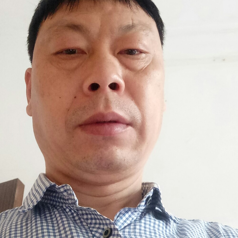 刺猬保卫单纯的照片