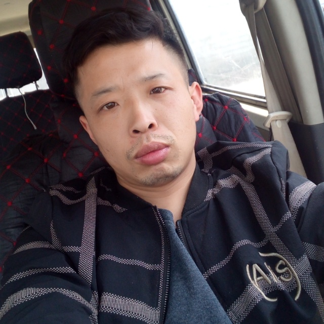 虚心漫步森槿的照片