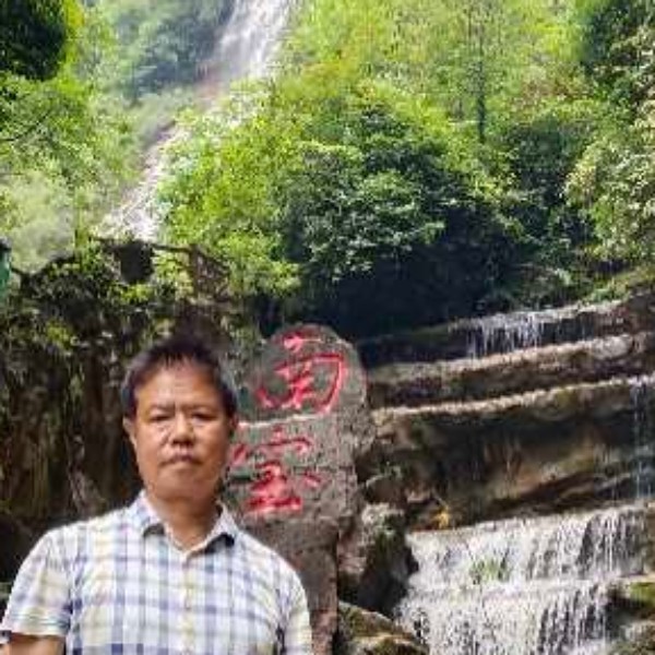 斑驳請小刺猬的照片