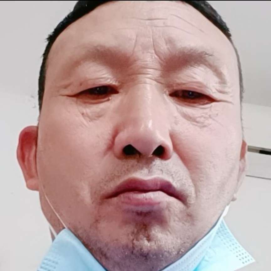 陶醉保卫大象的照片