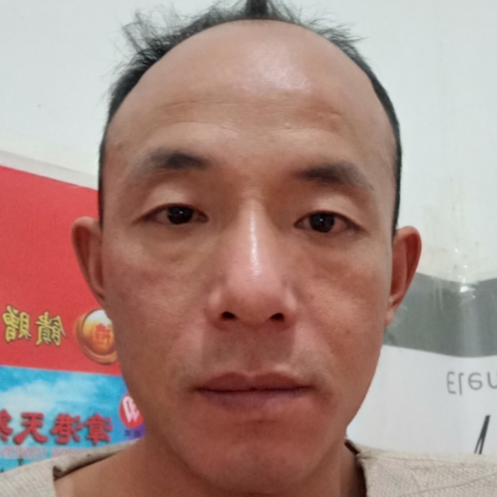 缠绵大树的照片