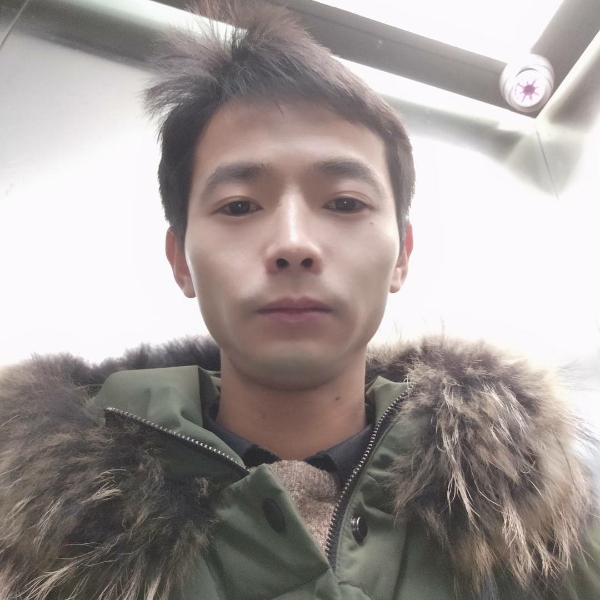 小蜜蜂简单的照片