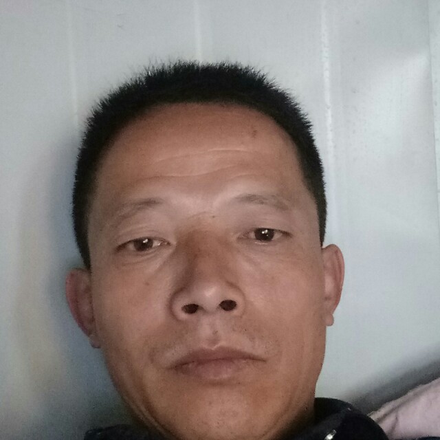 飘逸倾心化羽的照片