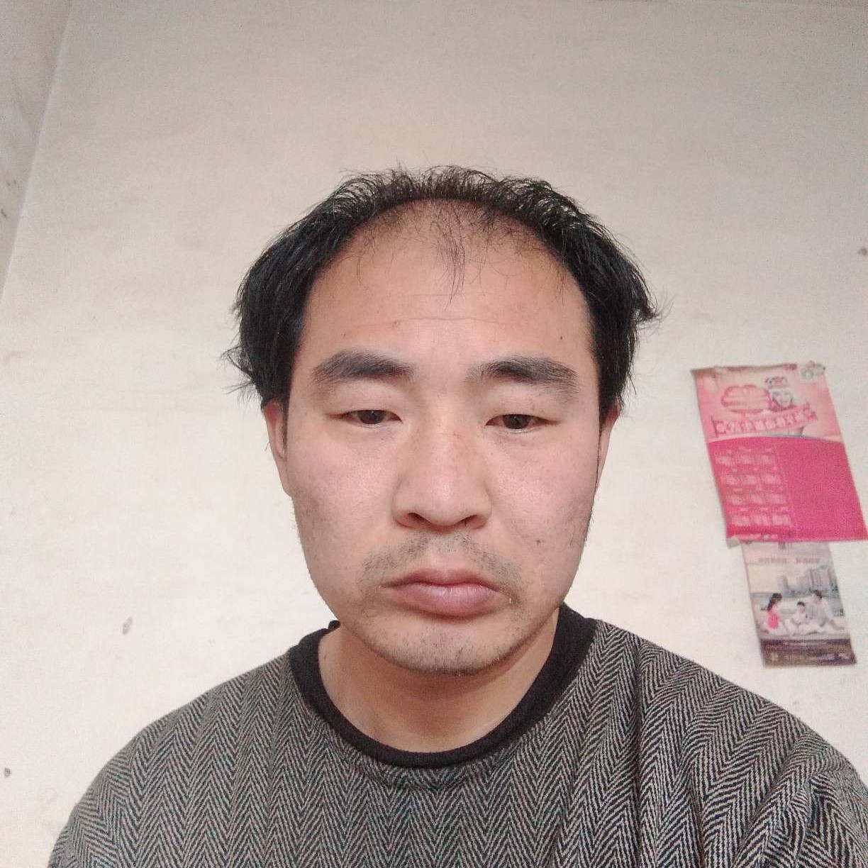 陌上与春华的照片