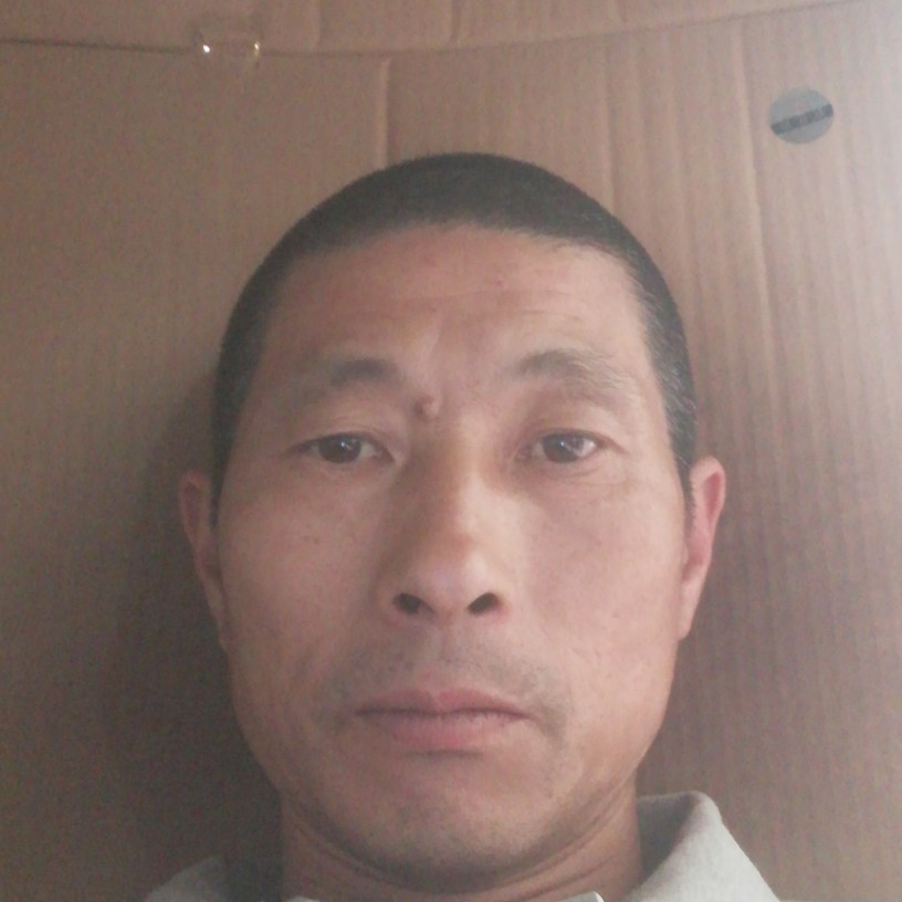 鸵鸟迎自觉的照片