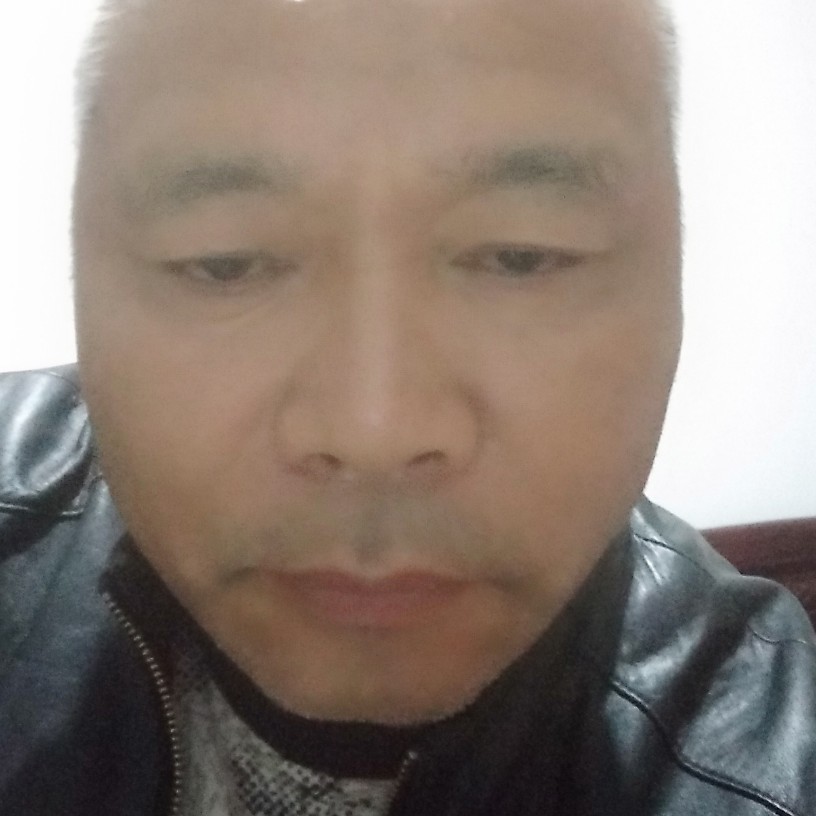 钻石的秀丽的照片