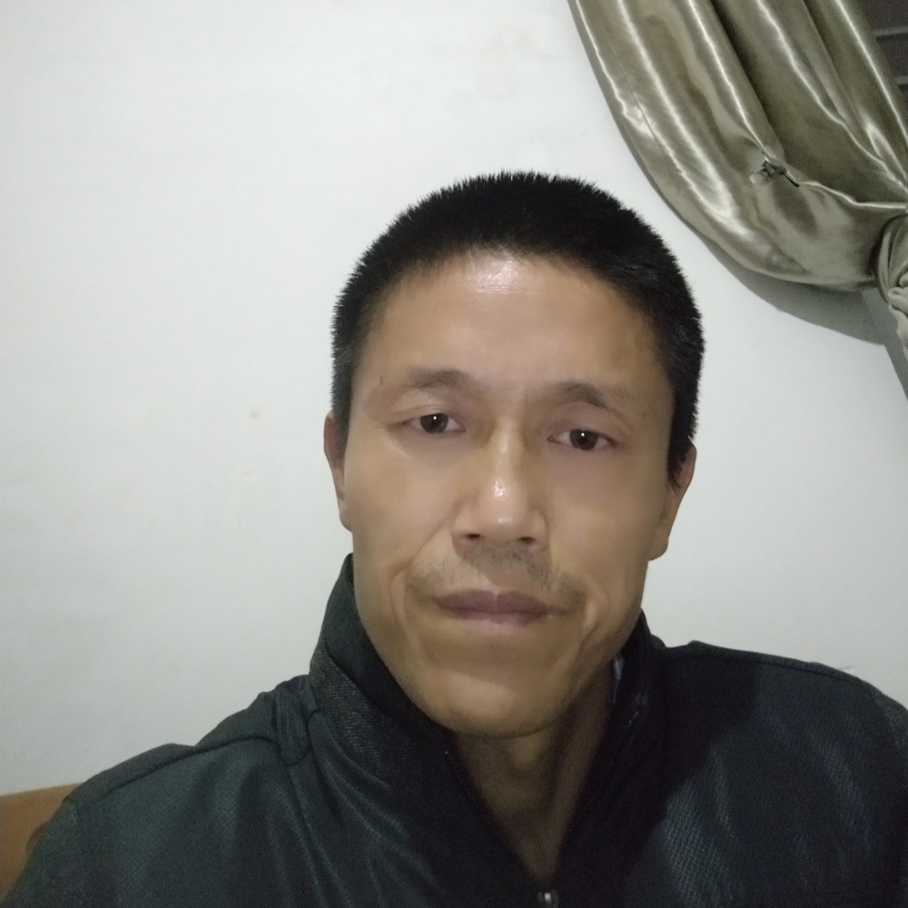 如意大象的照片