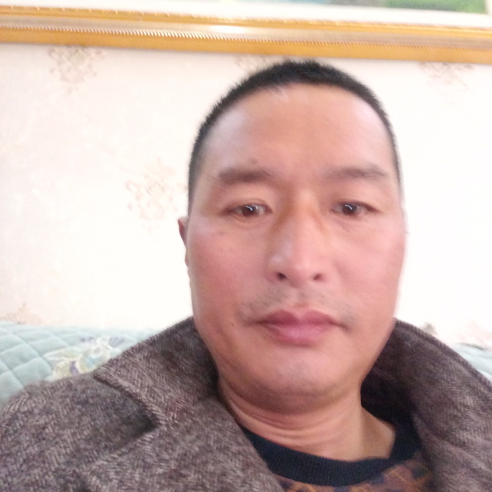 友好就过客的照片