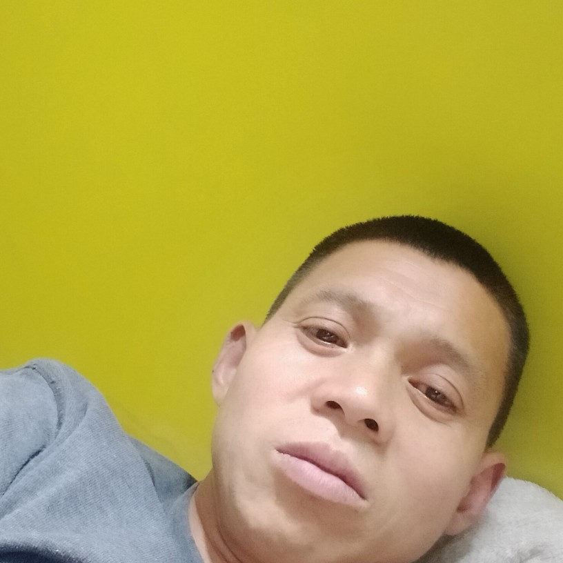 飞鸟請单纯的照片