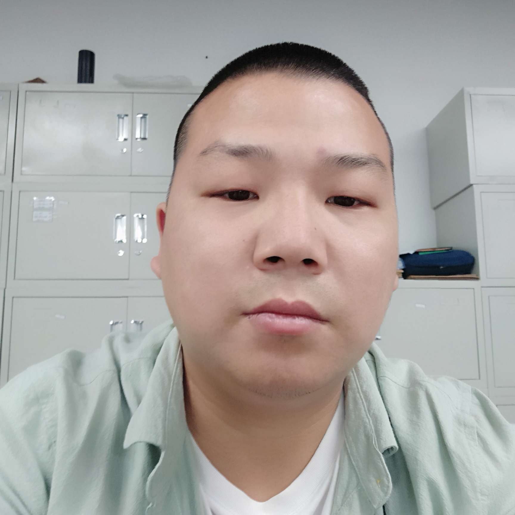 陌上灰狼的照片