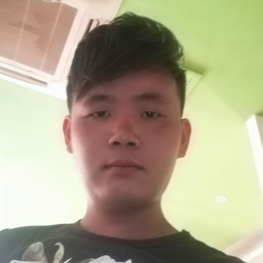 寒冷浅吻鸭子的照片