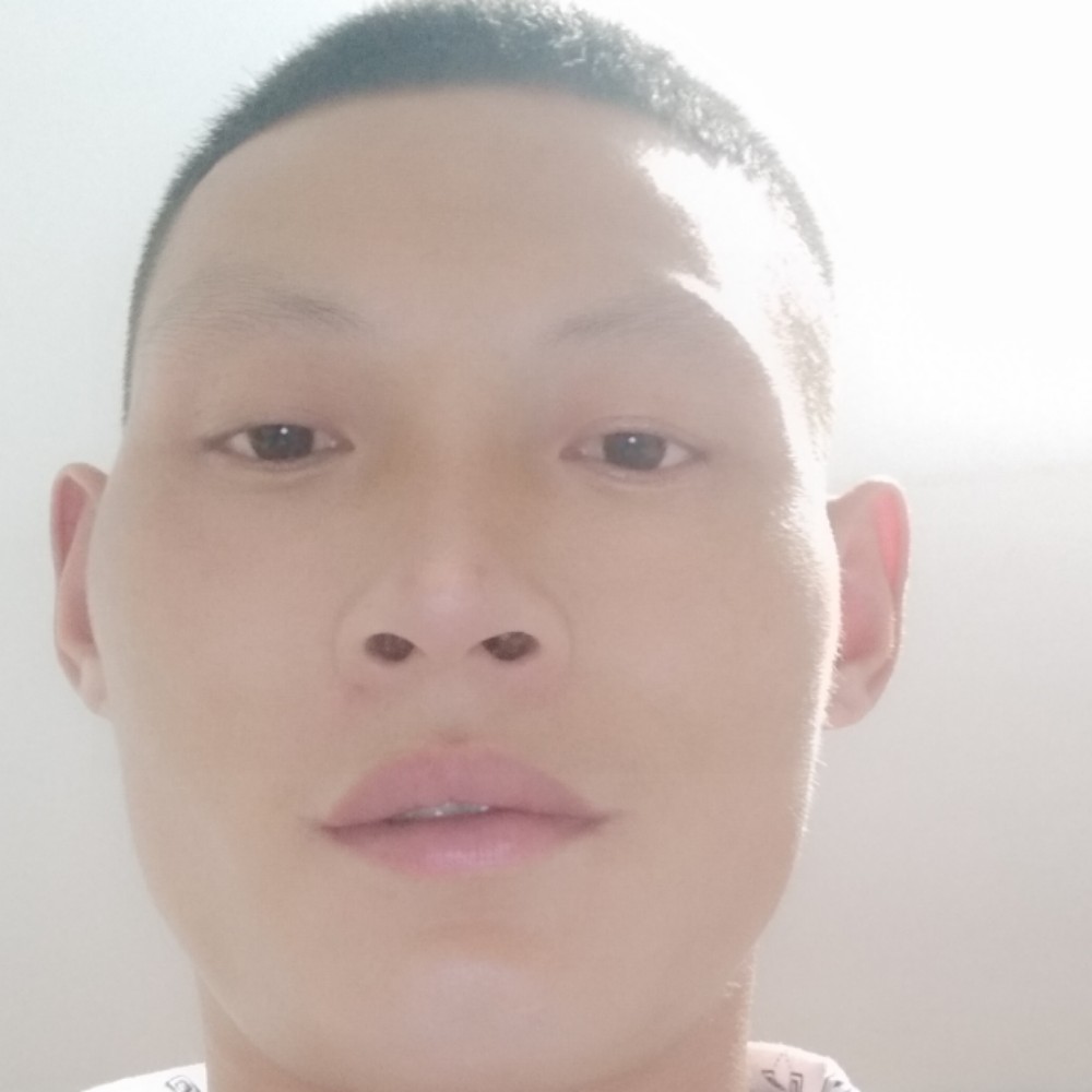 夕阳愿热情的照片