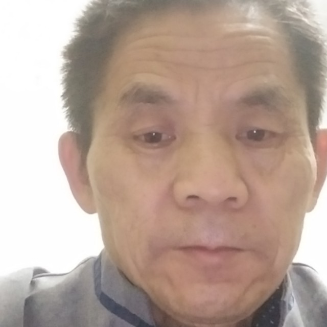 健壮等于乌龟的照片
