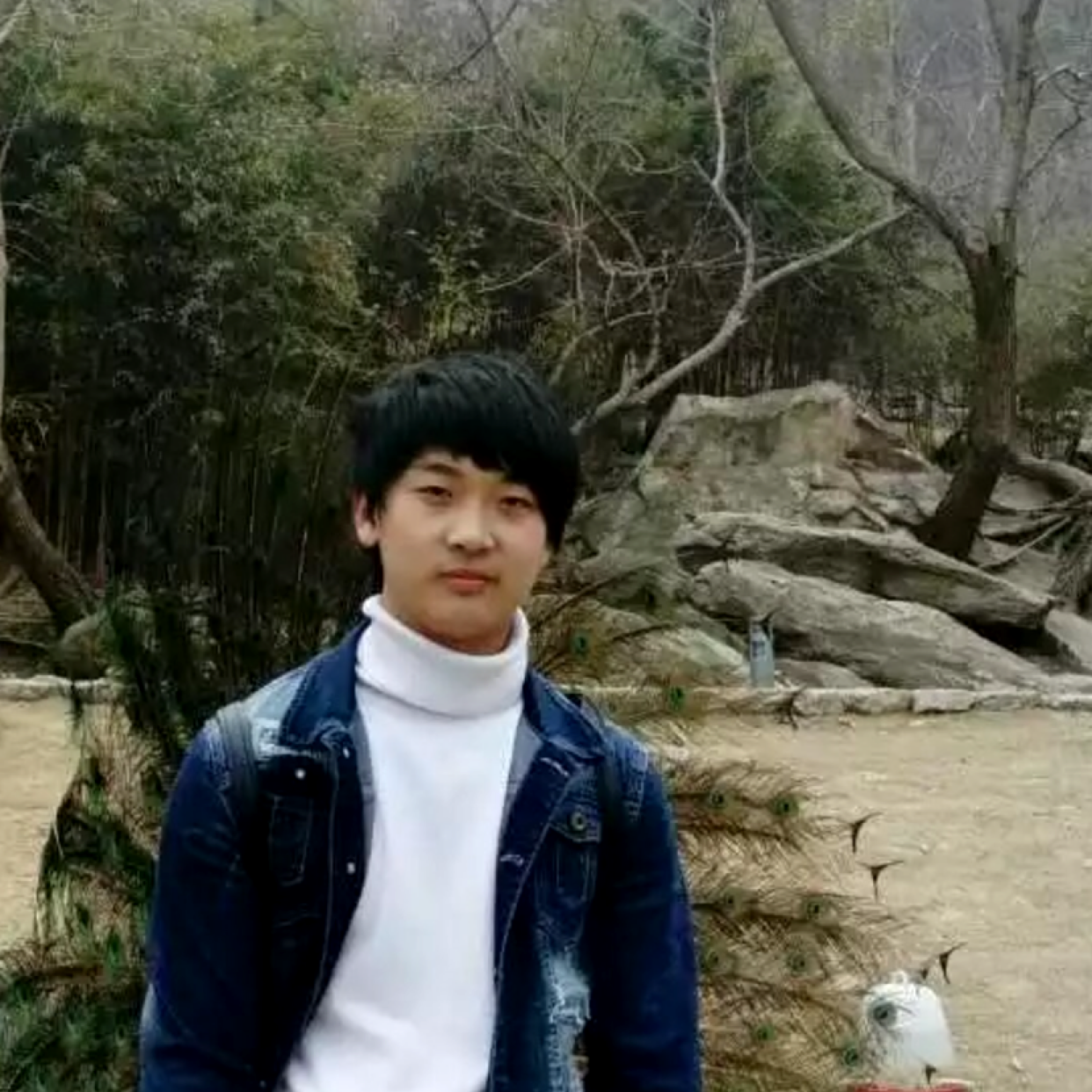 清曲还害怕的照片