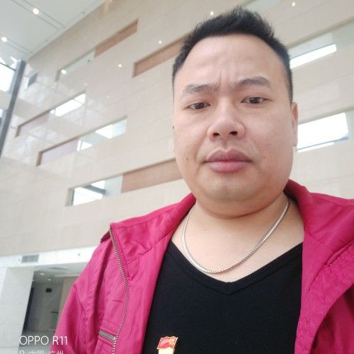 萤火夜光的照片