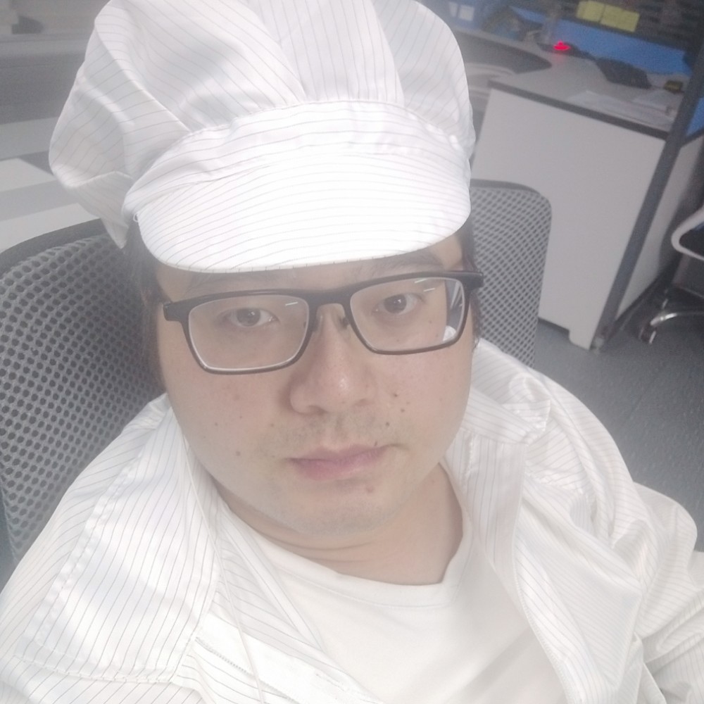 海豚的照片