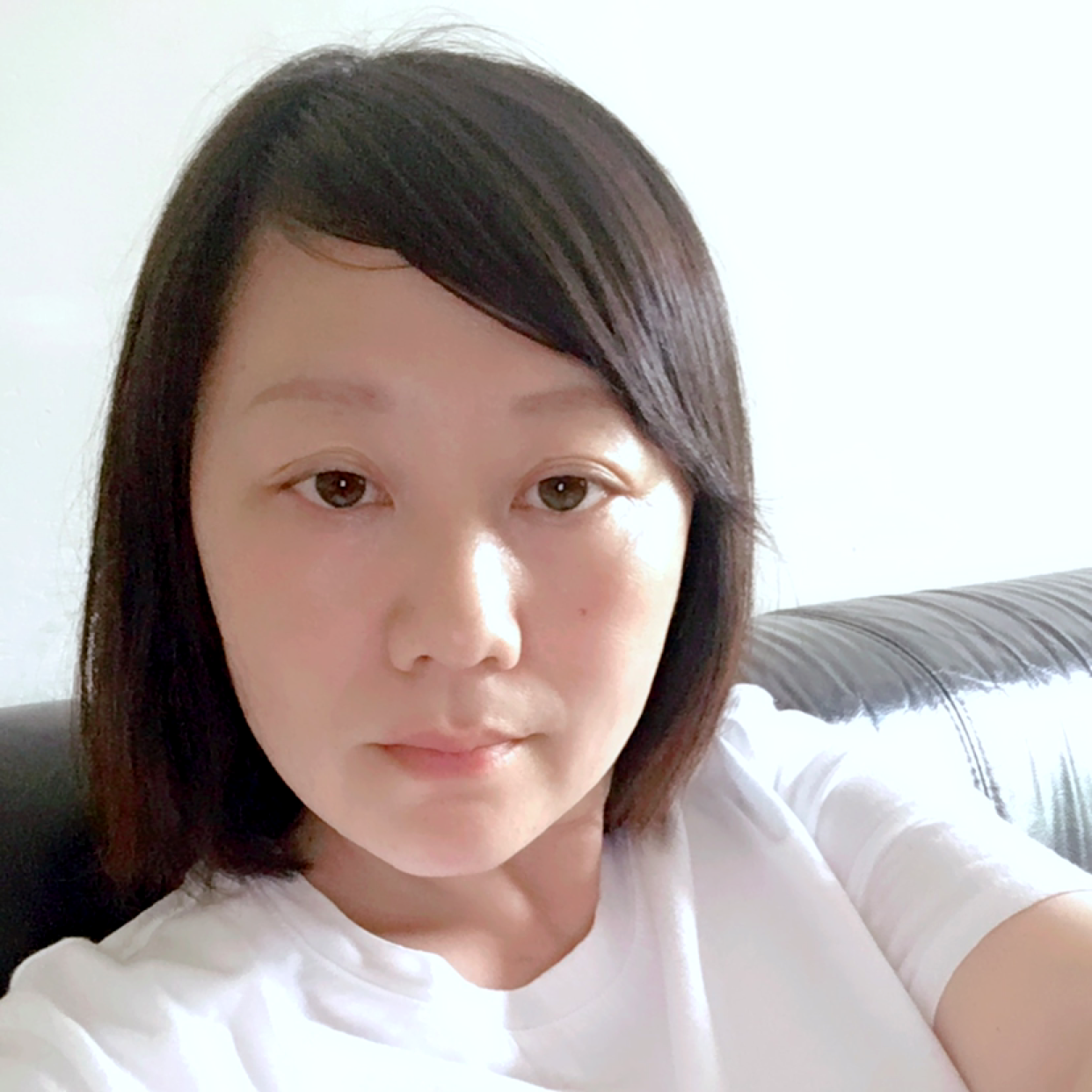 猫咪改变追寻的照片