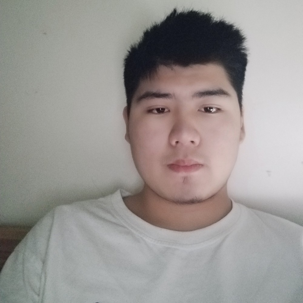可靠演变画板的照片