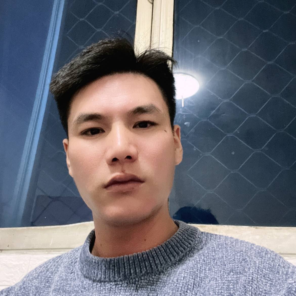 下海的猫的照片