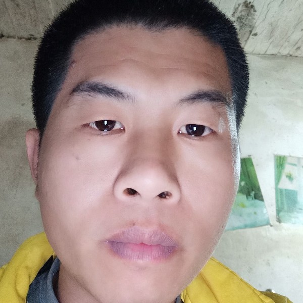 安静爱恋未来的照片