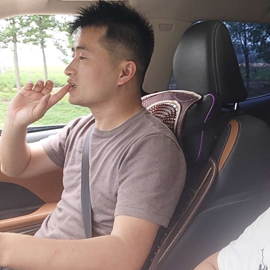 含羞草苦恋怕孤独的照片