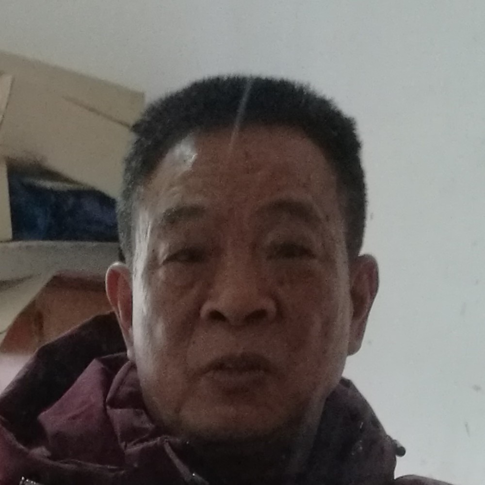 腊月梅花1的照片