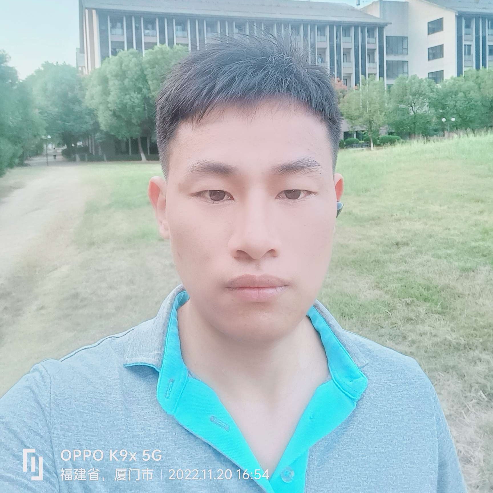 蜜蜂爱恋震动的照片