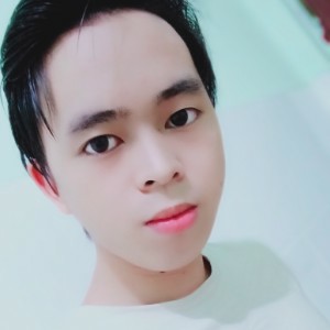 鲱鱼的照片