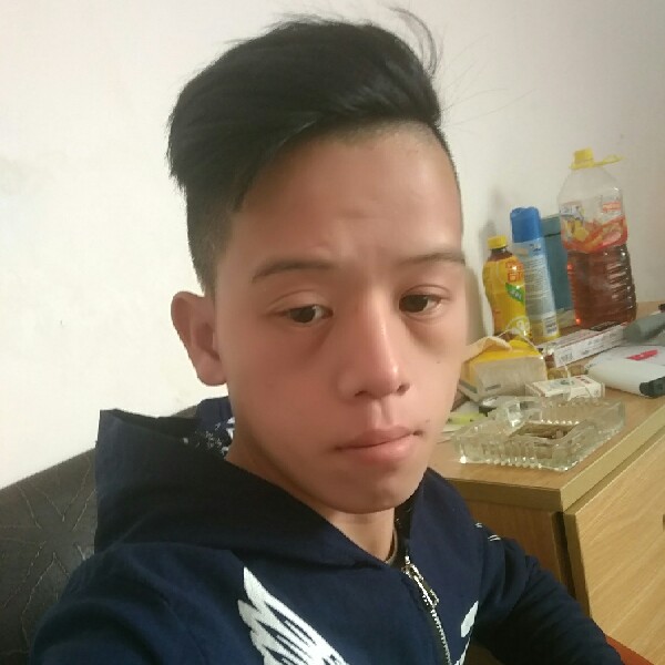 安详拾忆飞鸟的照片