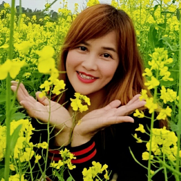 郁金香6的照片