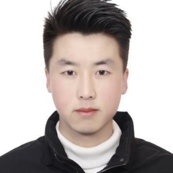 野鸽子的照片
