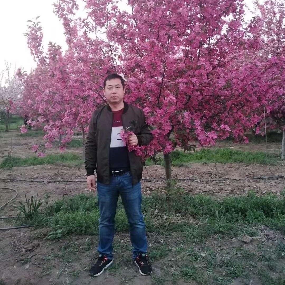 会员228673610的照片