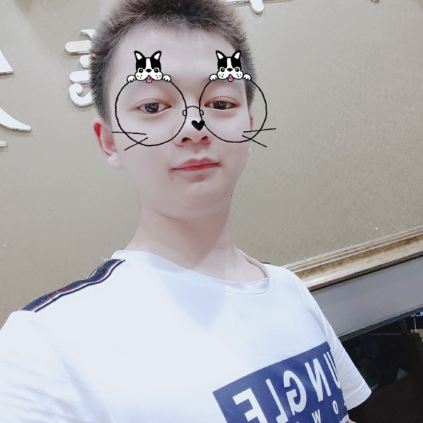 双子白羊的照片
