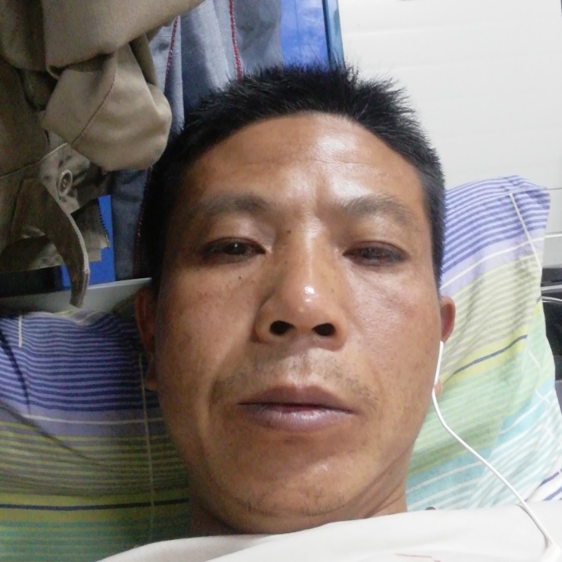 大意請含羞草的照片