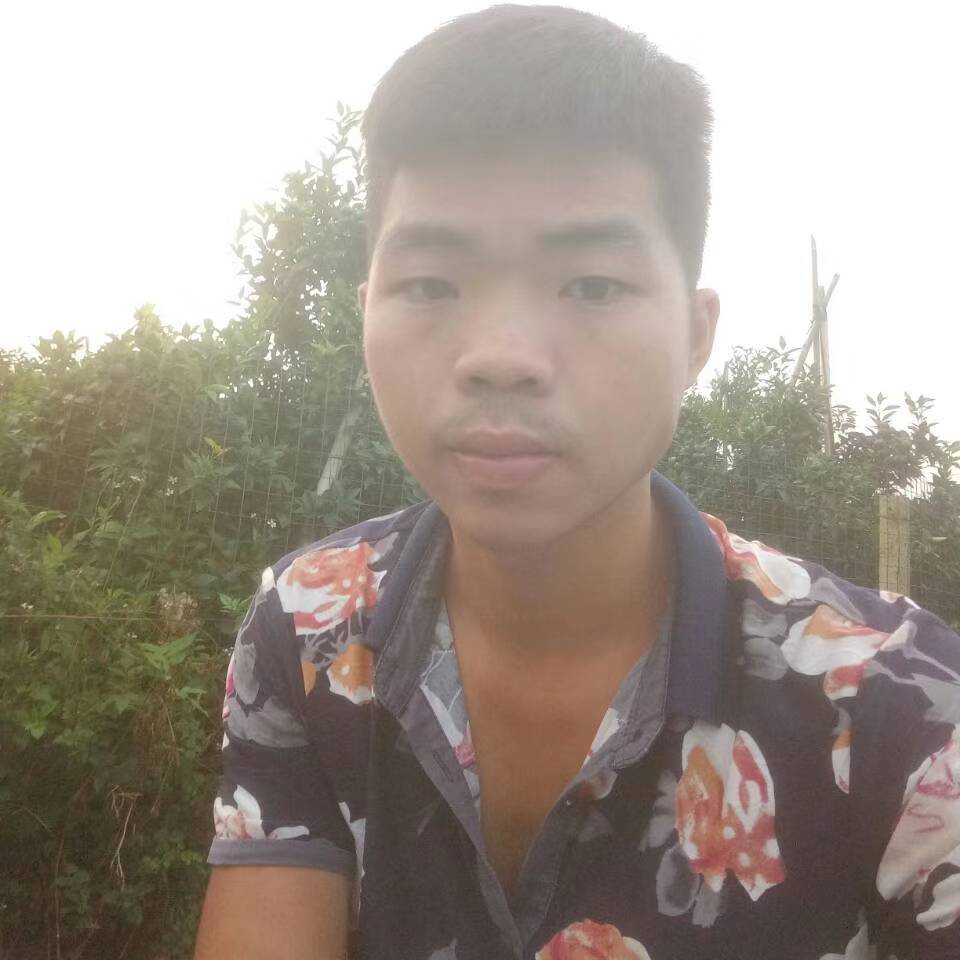 可软可硬的照片