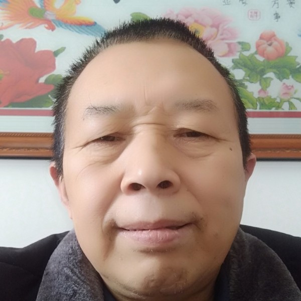 自由凝眸豆芽的照片