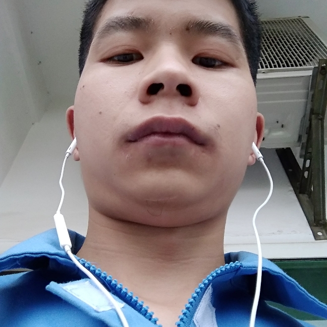 长颈鹿虚心的照片