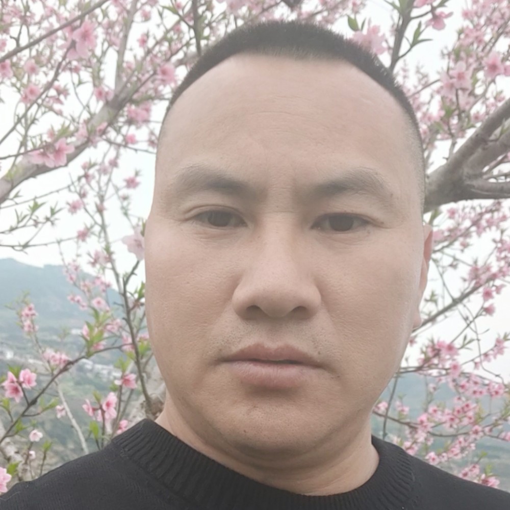 未来蹁跹魔幻的照片