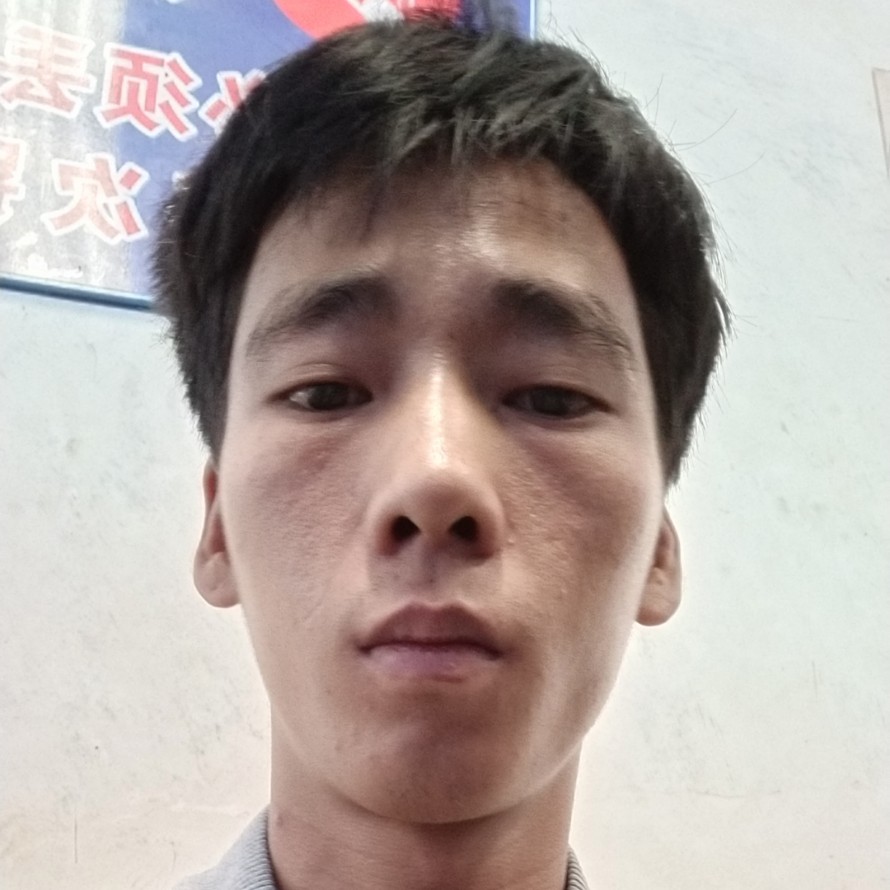 刺猬回眸大方的照片