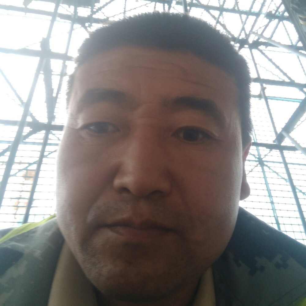 知性就太阳的照片
